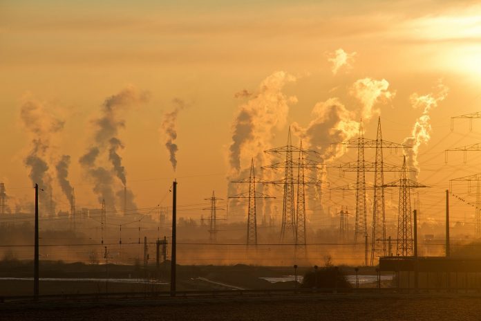 air pollution food supplements body air pollution food supplements body