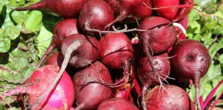 Beet