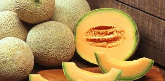 Cantaloupe