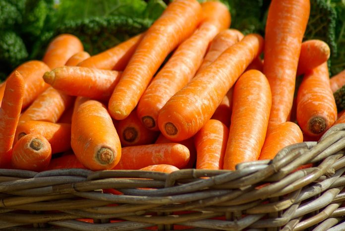 carrot Carrot