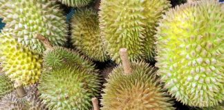 Durian