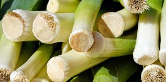 Leek