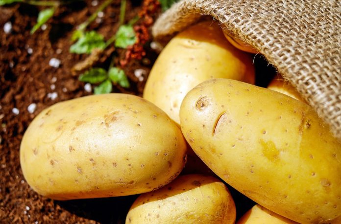 potato Potato