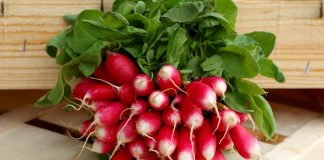 Radish