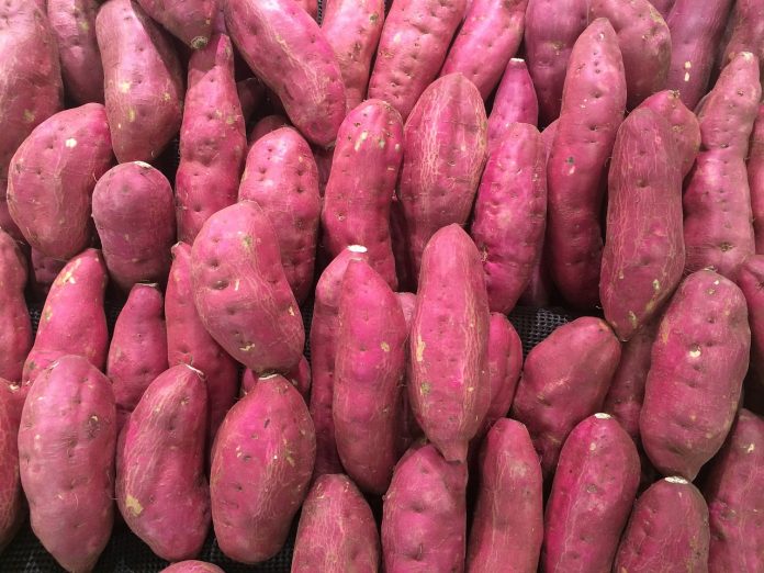 sweet potato Sweet potato